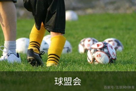 球盟会概况